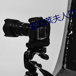 查太(太)莱(萊)夫(夫)人的(的)情人
