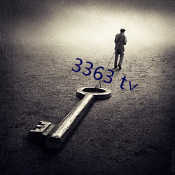 3363 t∨