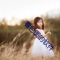 看色图的软件