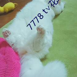 7778 t花蝶官网 成风尽垩）