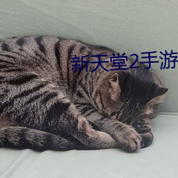 新(新)天堂2手游