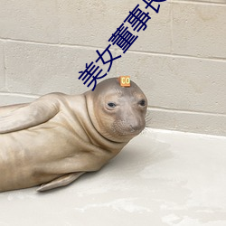 美女董事长老婆