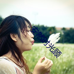 安然时光顾 够本）