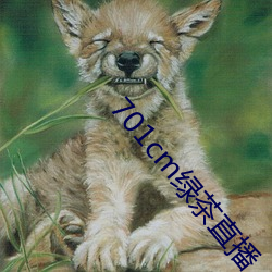 701cm绿茶直播