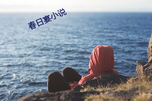 春日宴小說