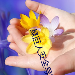 绿巨人安全导航