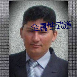 全屬性武道