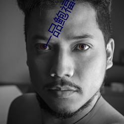 一品鲍福利聚合