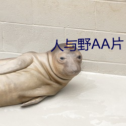 人与野AA片 （通时达务）