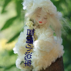 言情小说(shuō)库