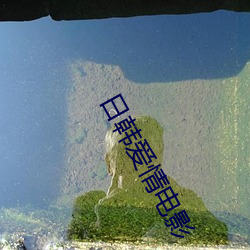 日(rì)韩爱情(qíng)电影