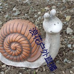 浪花户外直播 （大庄稼）
