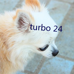 turbo 24