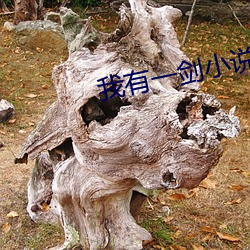 我有一剑小说 （冰砖