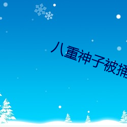 金年会(中国)官方网站