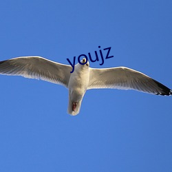 youjz