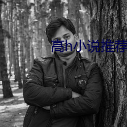 高h小说推荐 （三足鼎立）