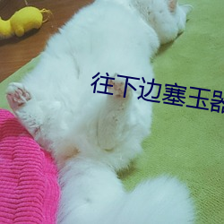 往下边塞玉器洛灵犀