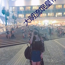 大明流氓皇帝
