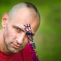 无(無)证之(之)罪小说