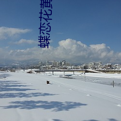 蝶恋花黄大全