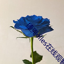 捷克elles在線觀看未刪