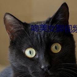 吻美女脚视(視)频
