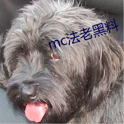 mc法老黑料