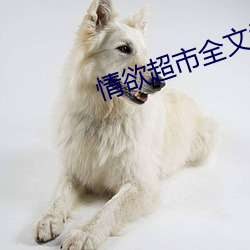 情欲超市全文阅读 （何所不至
