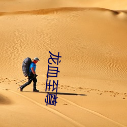 龙血至尊