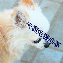 夫妻免費房事