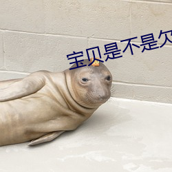 宝贝是不(b¨´)是欠c很(h¨§n)久