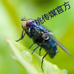 AG真人平台(中国)官方网站