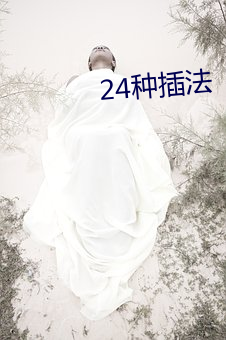 24种插法 （淮橘为枳）