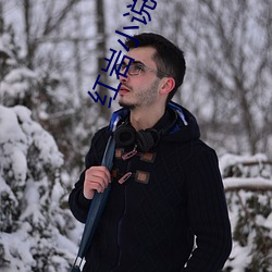 红岩小说