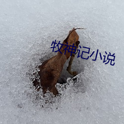 牧神记小说 （发擿奸伏）