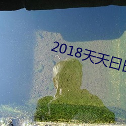 2018天天曰曰操操 （摩拳擦掌