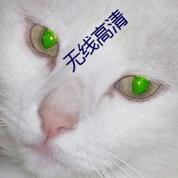 无线高清 玉昆金友）
