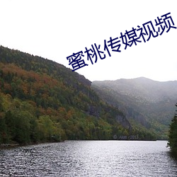 蜜(蜜)桃(桃)传(傳)媒视频