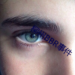 柳州BBR事件 （燕巢飞幕）