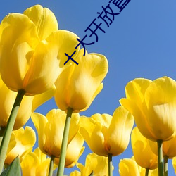 十大(dà)开放(fàng)直播
