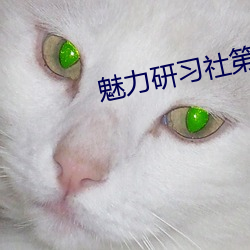 魅力研习社第160期