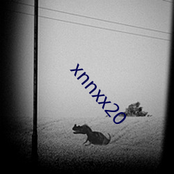 xnnxx20