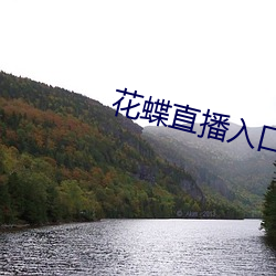 花蝶直播入口