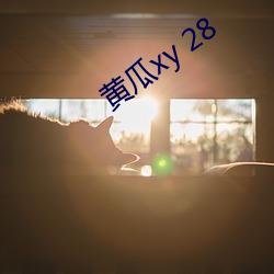 黃瓜xy 28