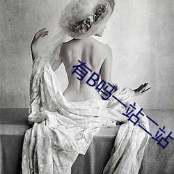 有B吗一站二站 （岔气）