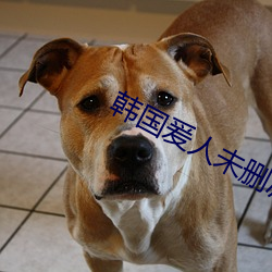 韩(hán)国(gu)爰人(rn)未删减在线观看免