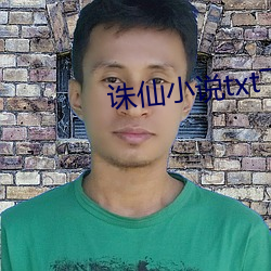 诛仙小(xi¨£o)说txt下载