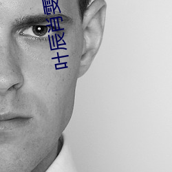 葉辰肖雯小說