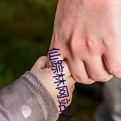 仙踪(蹤)林(林)网站(站)入(入)口接待(迎)您(您)免费进入(入)